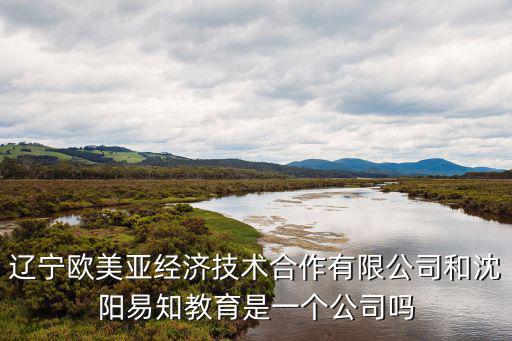 遼寧歐美亞經濟技術合作有限公司和沈陽易知教育是一個公司嗎
