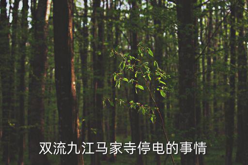 雙流九江馬家寺停電的事情