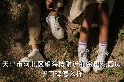 天津市河北區(qū)望海樓附近的金田花園房子口碑怎么樣