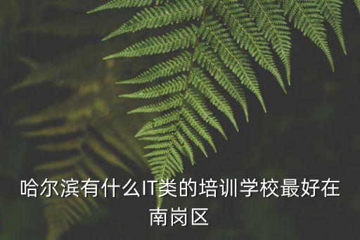 哈爾濱有什么IT類的培訓學校最好在南崗區