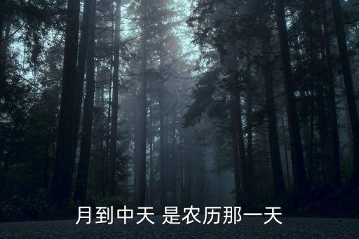 月到中天 是農(nóng)歷那一天