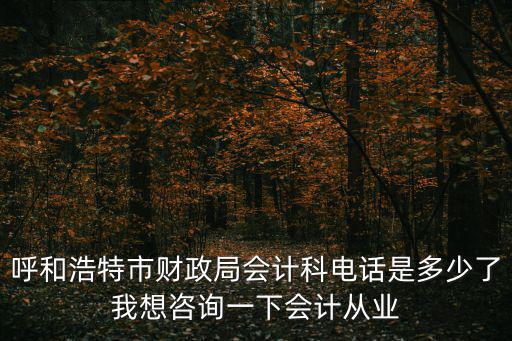 呼和浩特市財政局會計科電話是多少了我想咨詢一下會計從業