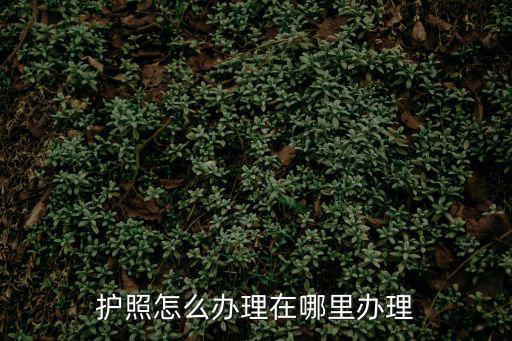護照怎么辦理在哪里辦理