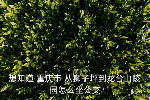想知道 重慶市 從獅子坪到龍臺山陵園怎么坐公交