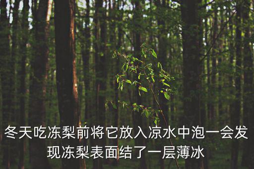 冬天吃凍梨前將它放入涼水中泡一會發現凍梨表面結了一層薄冰