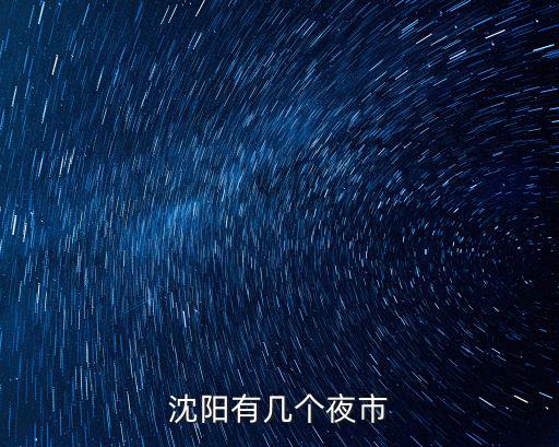 沈陽有幾個夜市