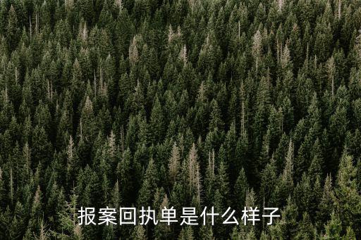 報案回執單是什么樣子