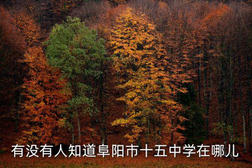 有沒有人知道阜陽市十五中學在哪兒