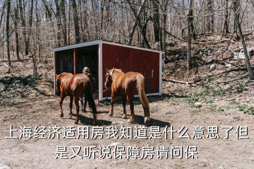 上海經濟適用房我知道是什么意思了但是又聽說保障房請問保