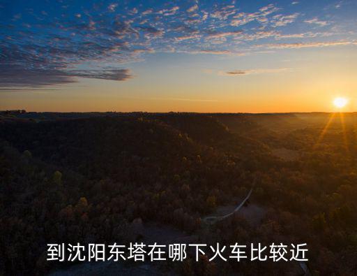 沈陽東塔，到沈陽東塔在哪下火車比較近