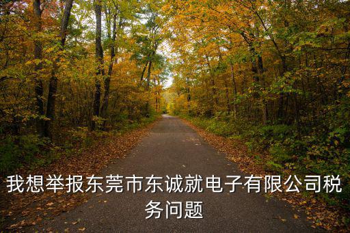 我想舉報東莞市東誠就電子有限公司稅務問題