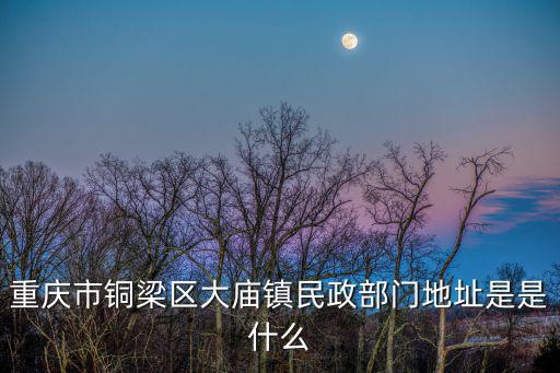 大廟鎮，重慶市銅梁區大廟鎮民政部門地址是是什么