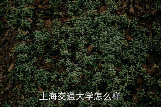 上海交通大學怎么樣