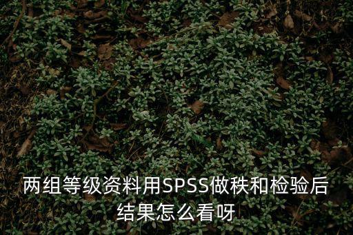 兩組等級資料用SPSS做秩和檢驗后結果怎么看呀