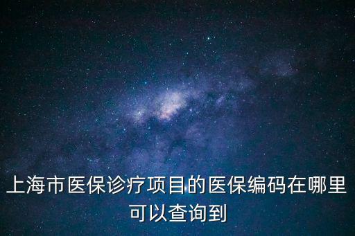 上海市醫(yī)保診療項目的醫(yī)保編碼在哪里可以查詢到