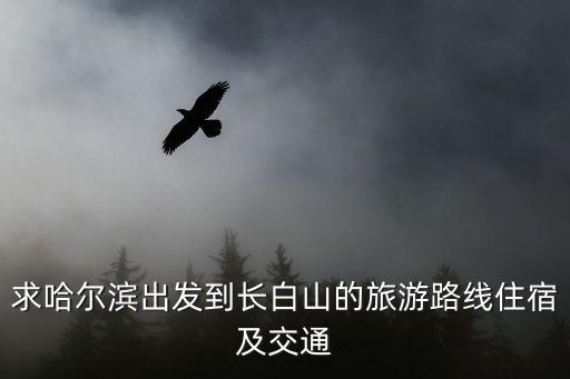 哈爾濱到長(zhǎng)白山，哈爾濱去長(zhǎng)白山