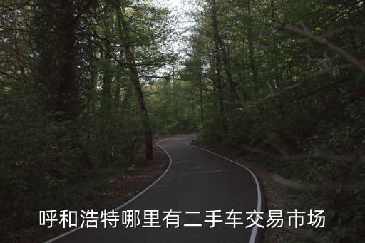 呼和浩特哪里有二手車交易市場(chǎng)