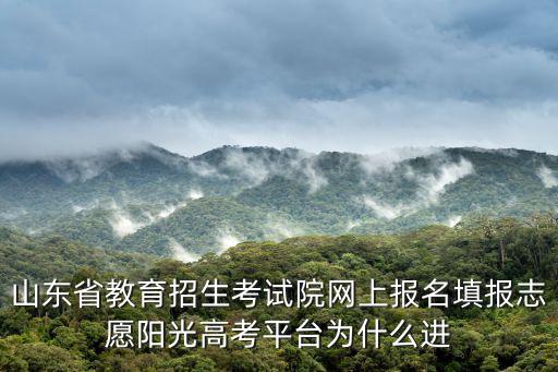 山東省教育招生考試院網上報名填報志愿陽光高考平臺為什么進