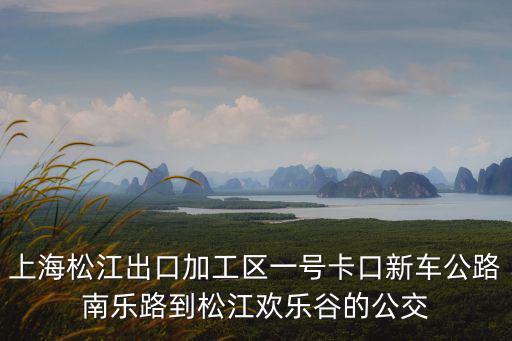 上海松江出口加工區(qū)一號卡口新車公路南樂路到松江歡樂谷的公交