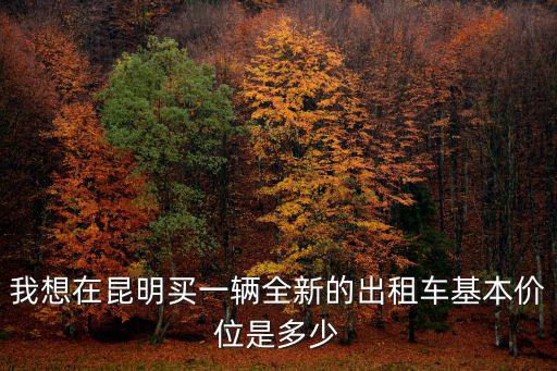 我想在昆明買(mǎi)一輛全新的出租車(chē)基本價(jià)位是多少