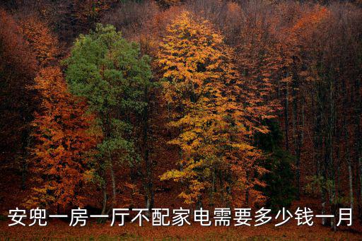 安兜，廈門安兜幼兒園怎么樣老師好不好