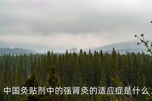 中國灸貼劑中的強腎灸的適應癥是什么