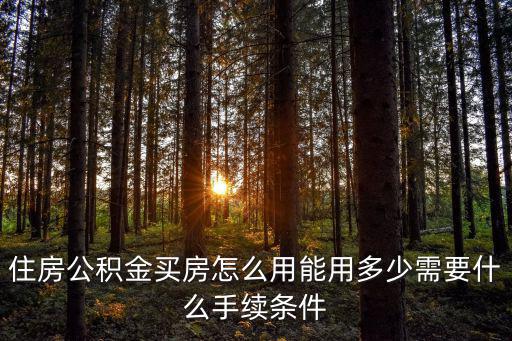 住房公積金買房怎么用能用多少需要什么手續(xù)條件