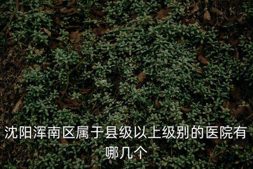 沈陽渾南區屬于縣級以上級別的醫院有哪幾個