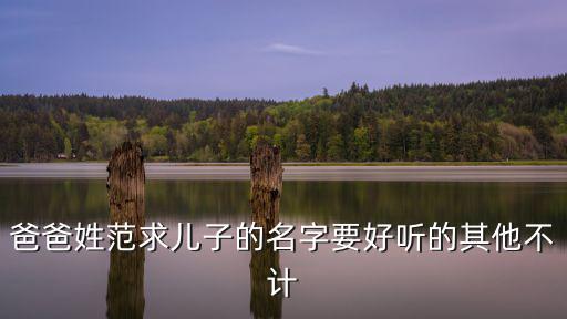 爸爸姓范求兒子的名字要好聽的其他不計(jì)