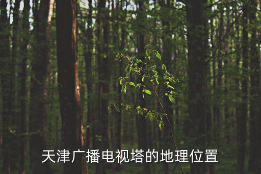 天津廣播電視塔的地理位置