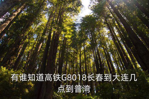 有誰知道高鐵G8018長春到大連幾點到普灣