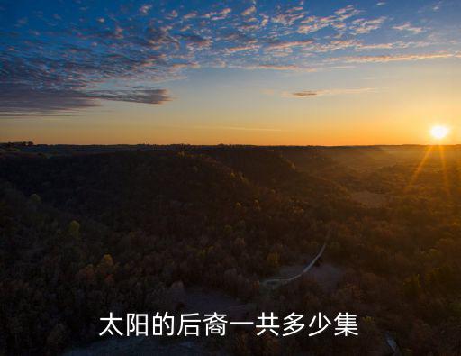 太陽的后裔一共多少集