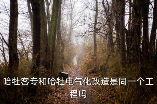 哈牡客專，我是黑龍江的我想知道不是已經(jīng)規(guī)劃了哈佳客專了嗎什么時候