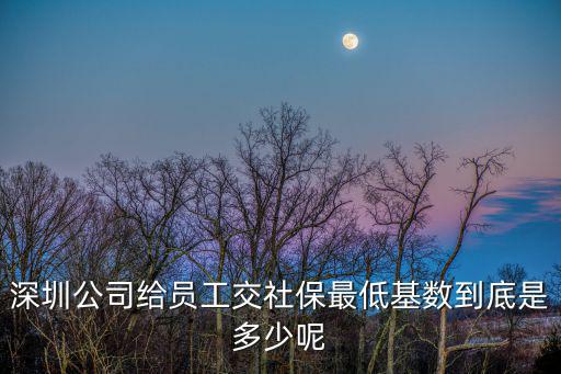 深圳公司給員工交社保最低基數到底是多少呢