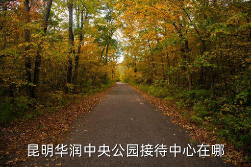 中心公園，昆明華潤中央公園附近有沒有好的購物中心呢