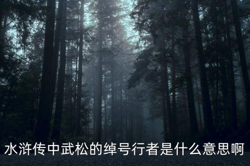 水滸傳中武松的綽號行者是什么意思啊