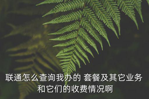 聯(lián)通怎么查詢我辦的 套餐及其它業(yè)務(wù) 和它們的收費(fèi)情況啊