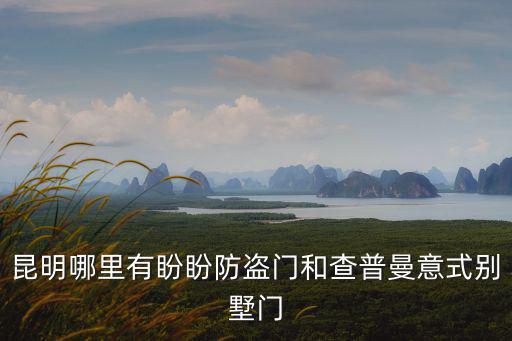 昆明哪里有盼盼防盜門和查普曼意式別墅門