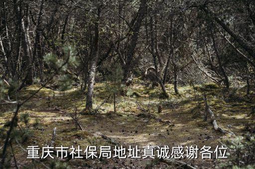 重慶市社保局地址真誠感謝各位