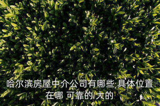 哈爾濱房屋中介公司有哪些 具體位置在哪 可靠的 大的