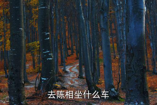 去陳相坐什么車