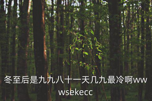 冬至后是九九八十一天幾九最冷啊wwwsekecc