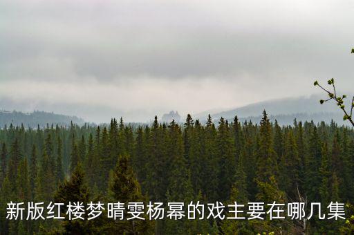 新版紅樓夢晴雯楊冪的戲主要在哪幾集