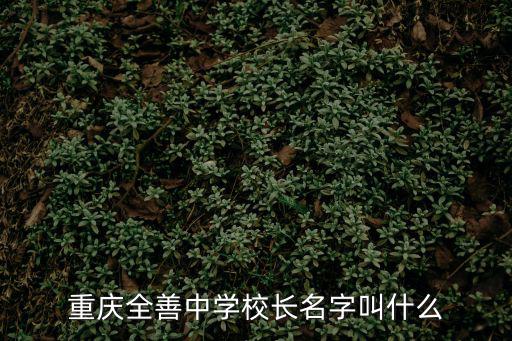 重慶全善中學校長名字叫什么