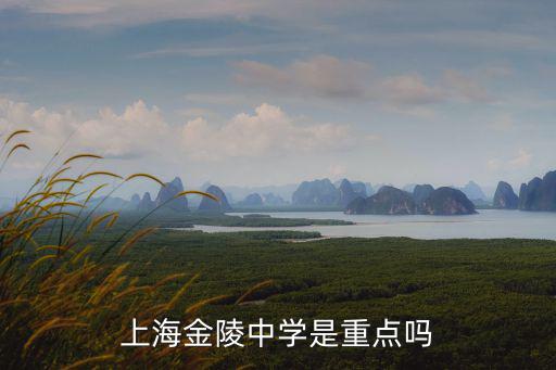 上海金陵中學(xué)是重點(diǎn)嗎