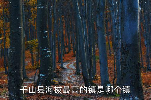 葛仙山鎮，彭洲葛仙山鎮衛生院有多大