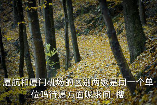 廈航和廈門機場的區別兩家是同一個單位嗎待遇方面呢求問  搜