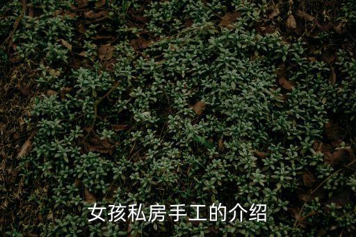 女孩私房手工的介紹