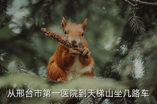天梯山景區，天河山云夢山天梯山那里值得一還觀