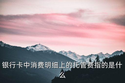 托管費，銀行卡中消費明細上的托管費指的是什么